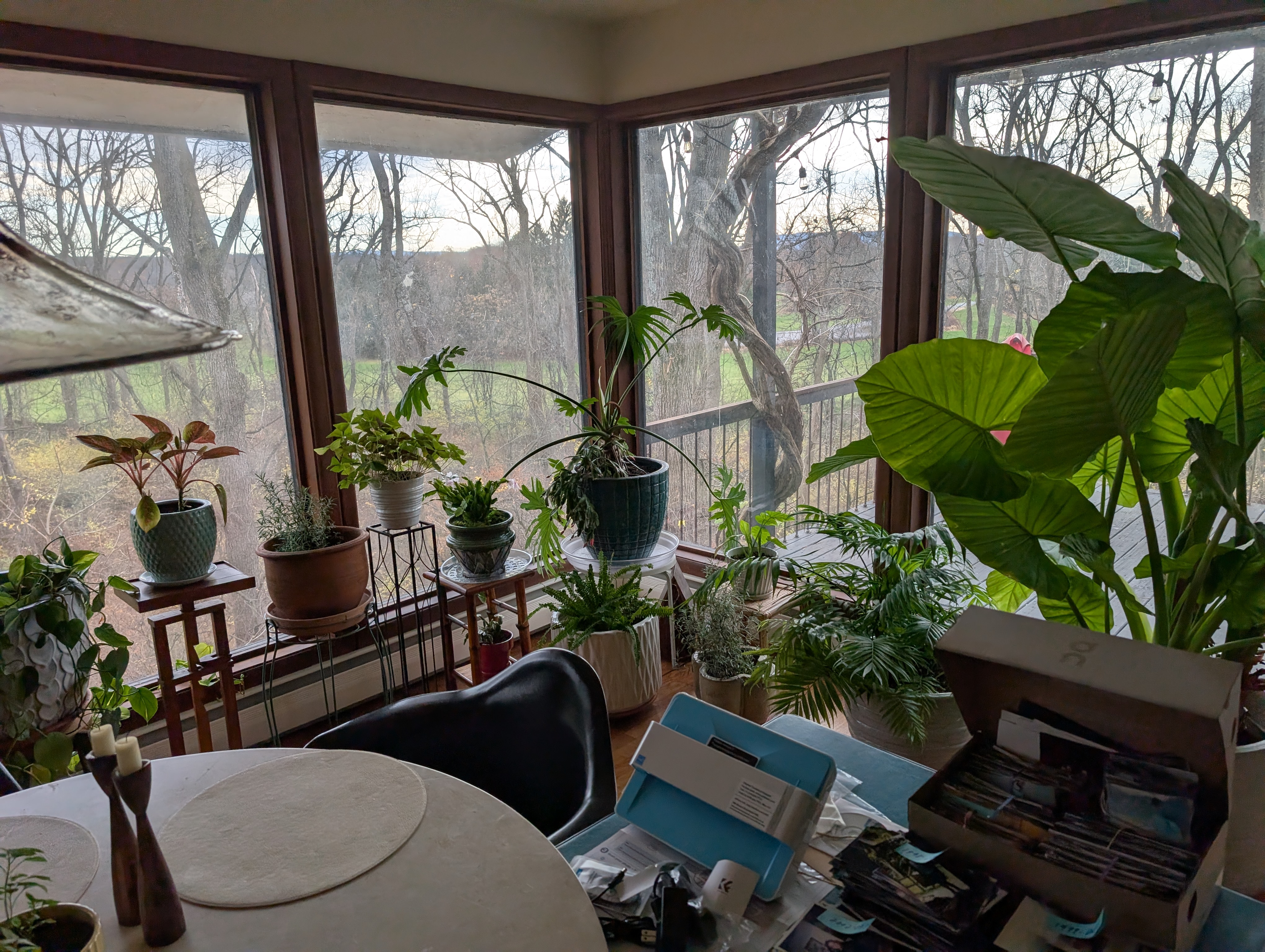 Windows lookin up towards Fishkill Ridge.jpg